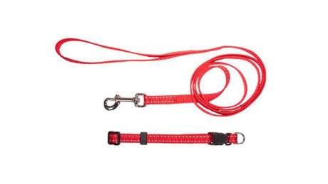 Bright red nylon puppy collar and lead set with reflective thread for safety during nighttime walks, featuring a secure buckle.