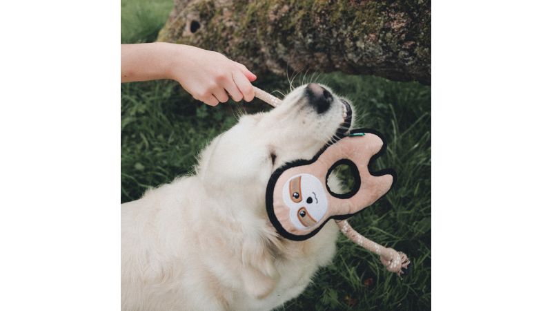 Dog Toy - Beco Sonny the Sloth (Med)