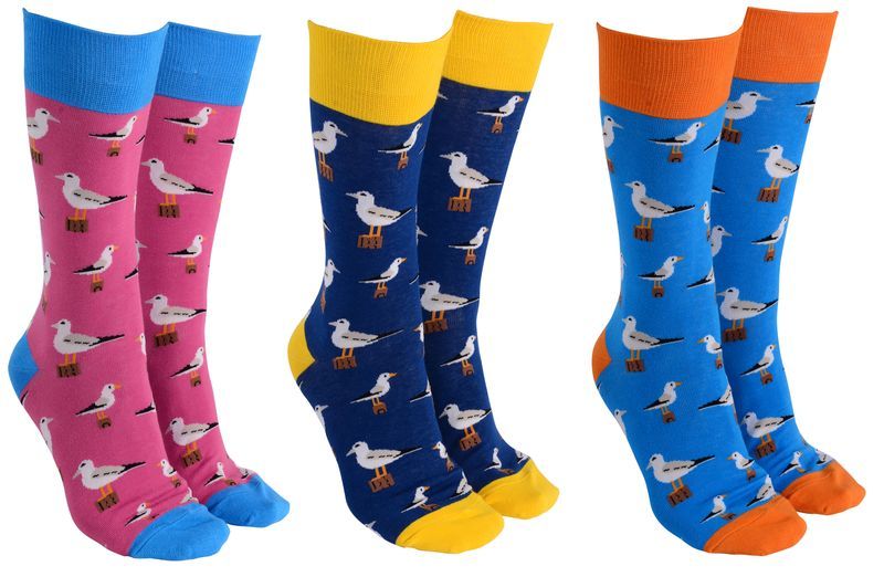 Socks - Sock Society Seagulls (Set of 6 Assorted Pairs)