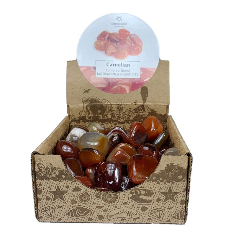 Vibrant Carnelian tumbled stones, 20-30mm, in a retail box, enhancing creativity and motivation for decoration or healing.
