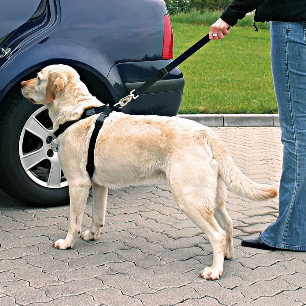 Dog safety harness for cars, XS size, adjustable with padding, prevents jumping and protects during accidents.