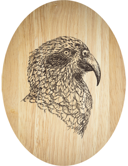 Kea plywood oval wall art showcasing natural grain, perfect for enhancing any room's decor with eco-friendly charm.