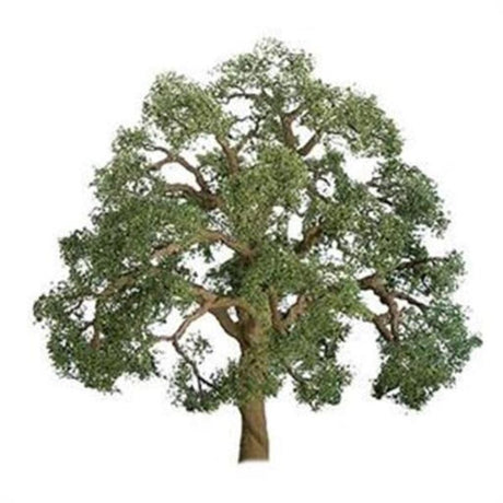 Detailed 125mm live oak model tree, perfect for dioramas and miniature landscapes, adding realism and visual appeal.