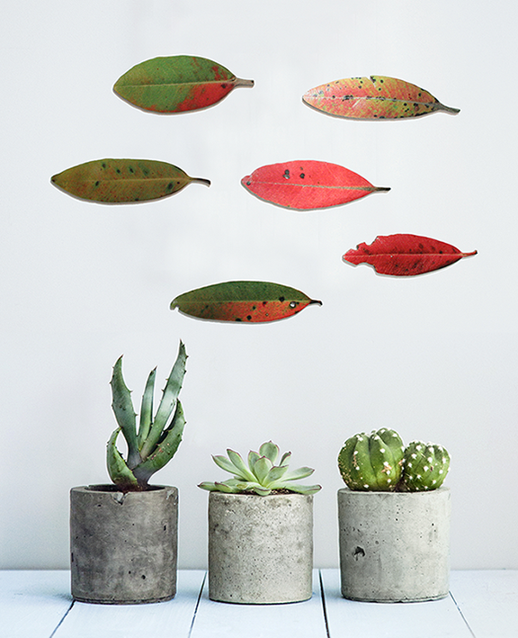 Set of six Pohutukawa leaves wall art printed on brushed silver ACM, ideal for home decor and outdoor under-cover use.