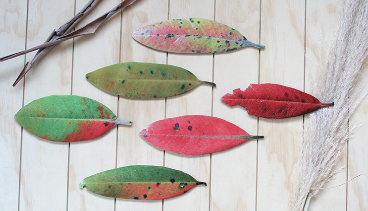 Elegant wall art set featuring six printed Pohutukawa leaves on durable brushed silver ACM, perfect for any decor.