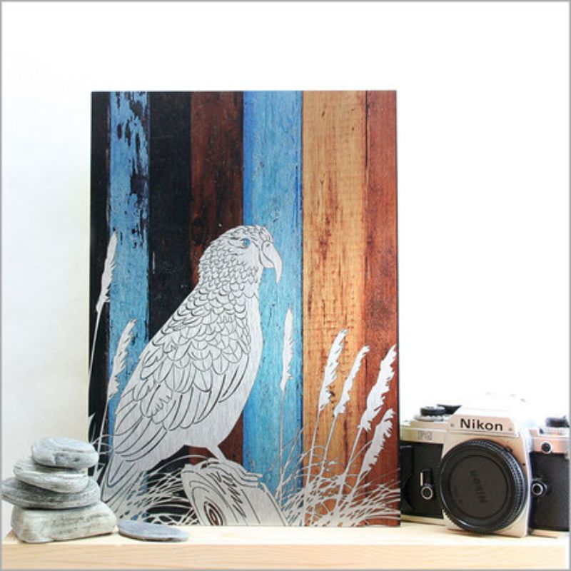 Vibrant Kea parrot wall art on brushed silver, set against rustic timber, ideal for nature-inspired decor (28.8cm).