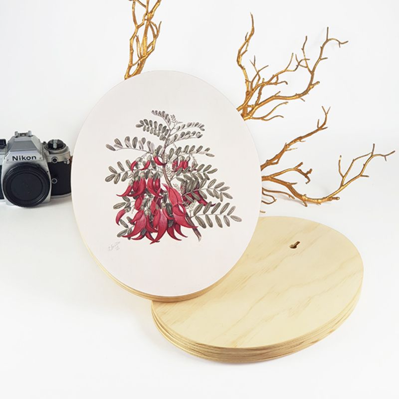 Wall art featuring Sarah Featon's Kakabeak, printed on eco-friendly pine ply, showcasing New Zealand's native flora.