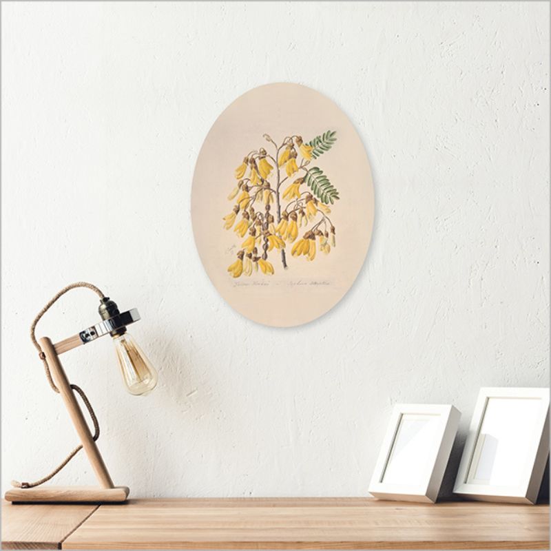 Elegant 28cm plywood wall art featuring Kowhai blossoms by Sarah Featon, perfect for nature lovers.