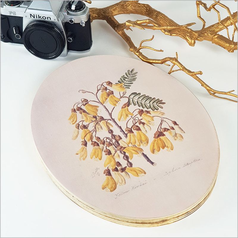 Oval wall art featuring Kowhai blossoms, inspired by Sarah Featon, on eco-friendly pine plywood, ready to hang.