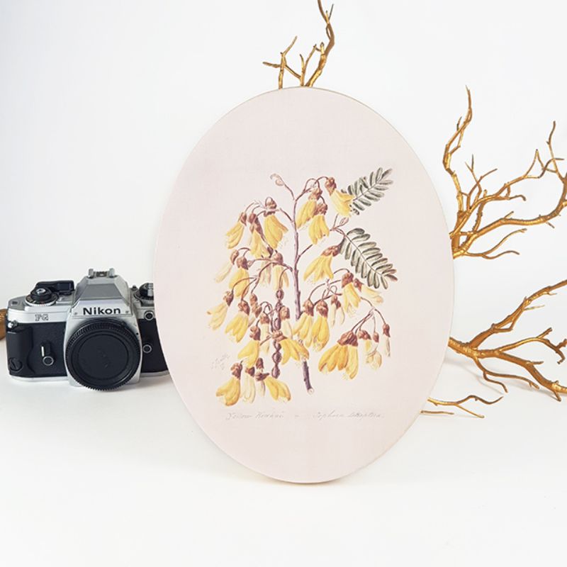 Artistic wall decor featuring Kowhai blossoms on eco-friendly plywood, celebrating New Zealand's floral beauty.