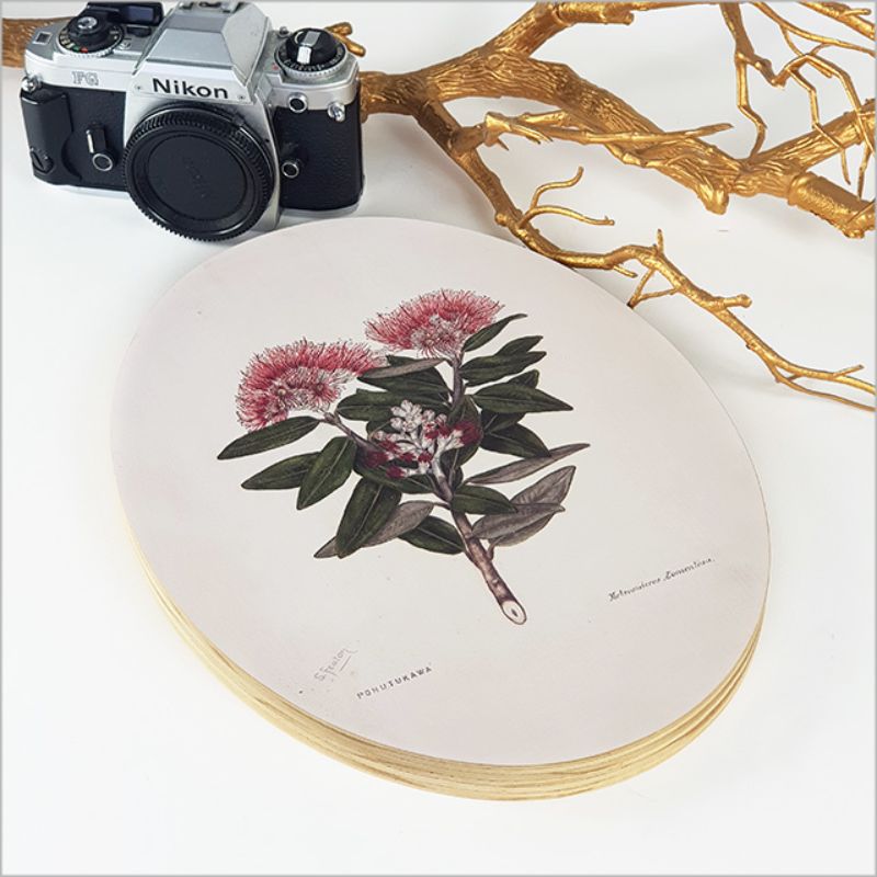 Ply oval wall art featuring Sarah Featon's vibrant Pohutukawa, celebrating New Zealand's native flora in eco-friendly design.