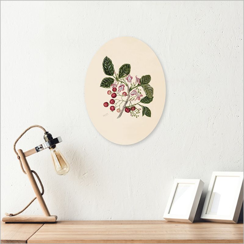 Ply Oval wall art featuring Sarah Featon's floral watercolors, made from eco-friendly pine ply, 28cm, ready to hang.