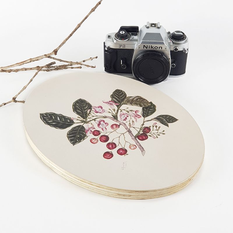 Ply Oval Wall Art featuring Sarah Featon's floral watercolors on eco-friendly pine, perfect for elegant home decor.