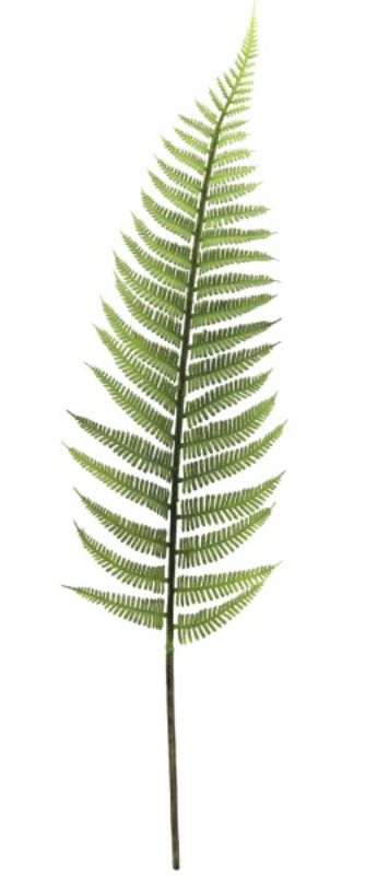 Lifelike 47cm artificial fern leaf stem, perfect for enhancing home decor and floral arrangements with elegance and ease.