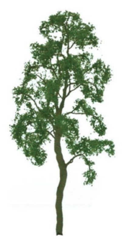 200mm Birch Tree model with realistic foliage and bark, perfect for enhancing dioramas and miniature landscapes.