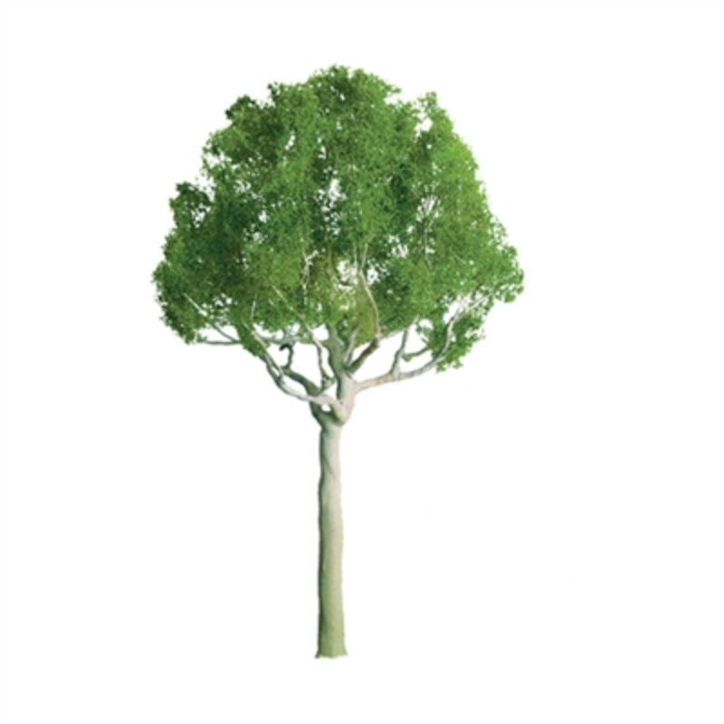 Detailed 75mm round head model trees in a 2-pack, perfect for dioramas and scale modeling.