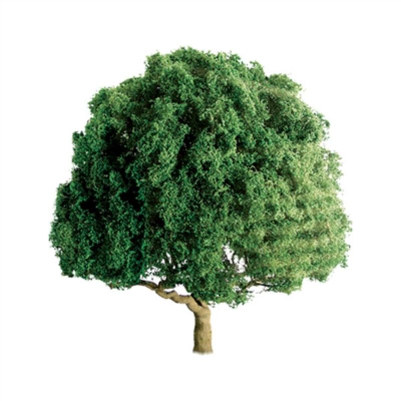 Realistic 75mm oak trees for model landscapes, ideal for dioramas and scale projects, pack of two for enhanced scenery.