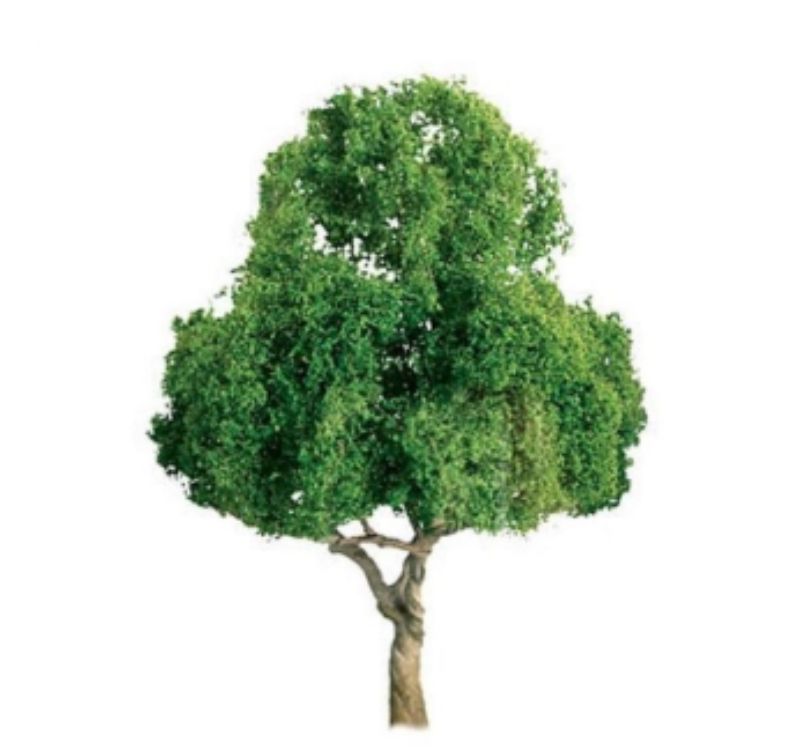 Lifelike 138mm deciduous model tree, perfect for enhancing dioramas and scenery with vibrant, realistic detail.