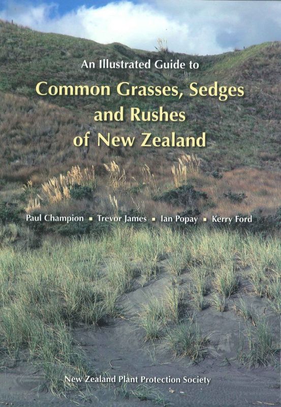 Full-color guidebook showcasing common grasses, sedges, and rushes of New Zealand with vibrant photos and detailed illustrations.