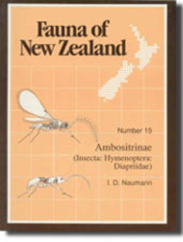Comprehensive guide to New Zealand's Ambostrinae invertebrates, featuring illustrations and ecological insights by I Naumann.