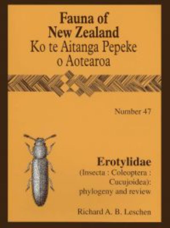 Comprehensive guide on New Zealand's Erotylidae beetles, featuring species identification and classification insights.