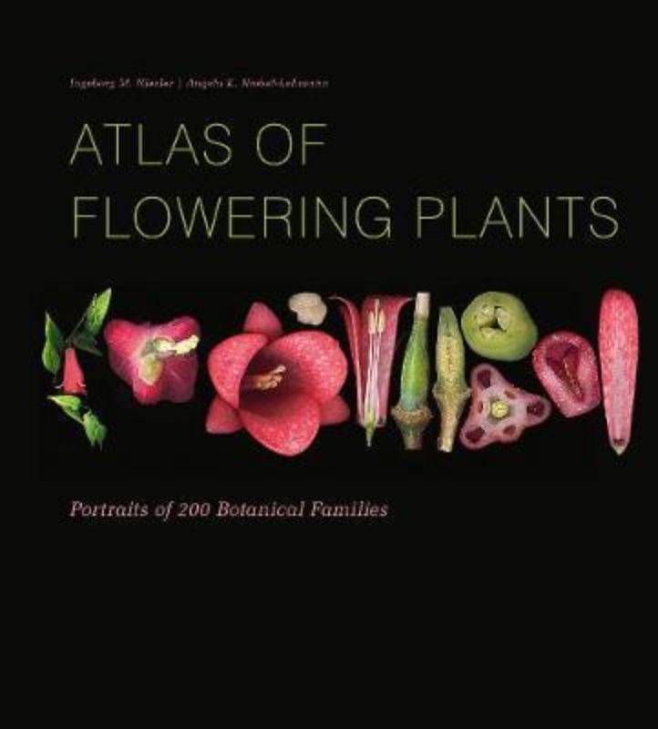 Comprehensive guide featuring detailed portraits of 200 flowering plant families on a striking black background.