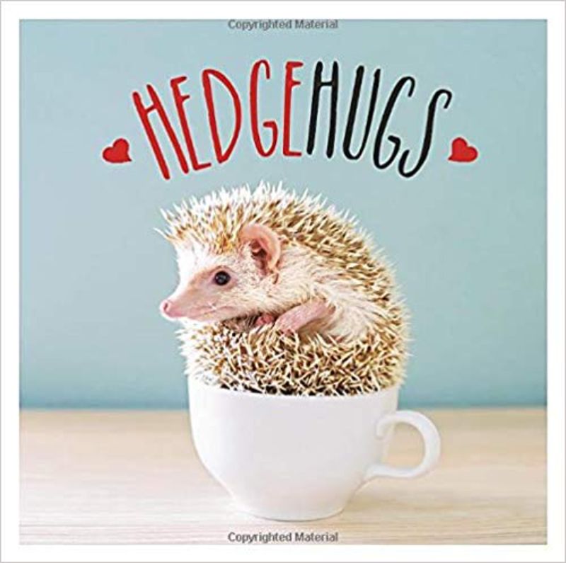 Charming hardback book featuring whimsical illustrations of adorable hedgehogs, perfect for nature lovers.