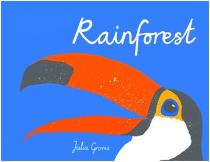 A beautifully illustrated paperback book, "Rainforest" explores vibrant wildlife in a captivating journey through ecosystems.