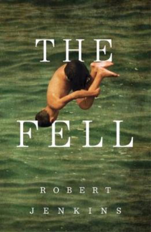 Cover of 'The Fell' by Robert Jenkins, featuring a poignant coming-of-age story about adolescence, family bonds, and resilience.