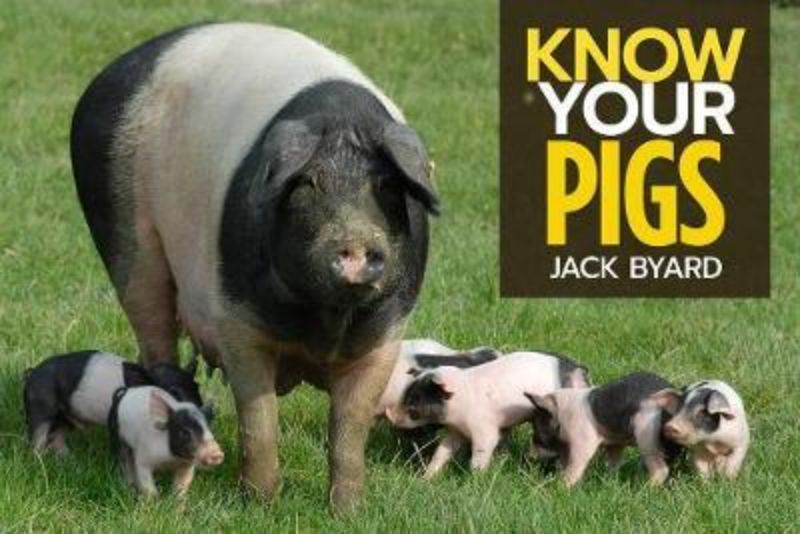 "Cover of 'Know Your Pigs' by Jack Byard, a colorful guide showcasing various pig breeds and their unique traits."