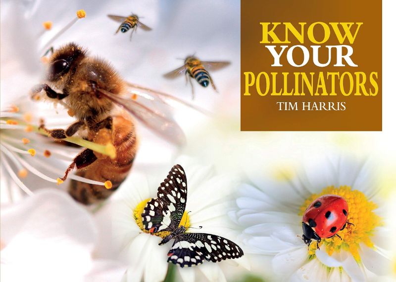 Pocket guide 'Know Your Pollinators' by Tim Harris, featuring 35 illustrated insects essential for gardening and ecosystem health.