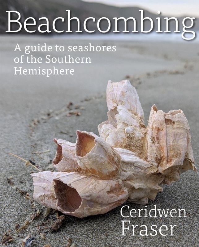 "Book cover of 'Beachcombing: A Guide to Seashores of the Southern Hemisphere' by Ceridwen Fraser, showcasing coastal treasures."