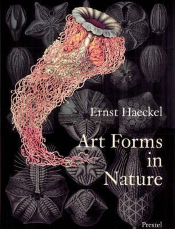 "Collection of Ernst Haeckel's prints showcasing intricate geometric shapes and natural forms that connect art and science."