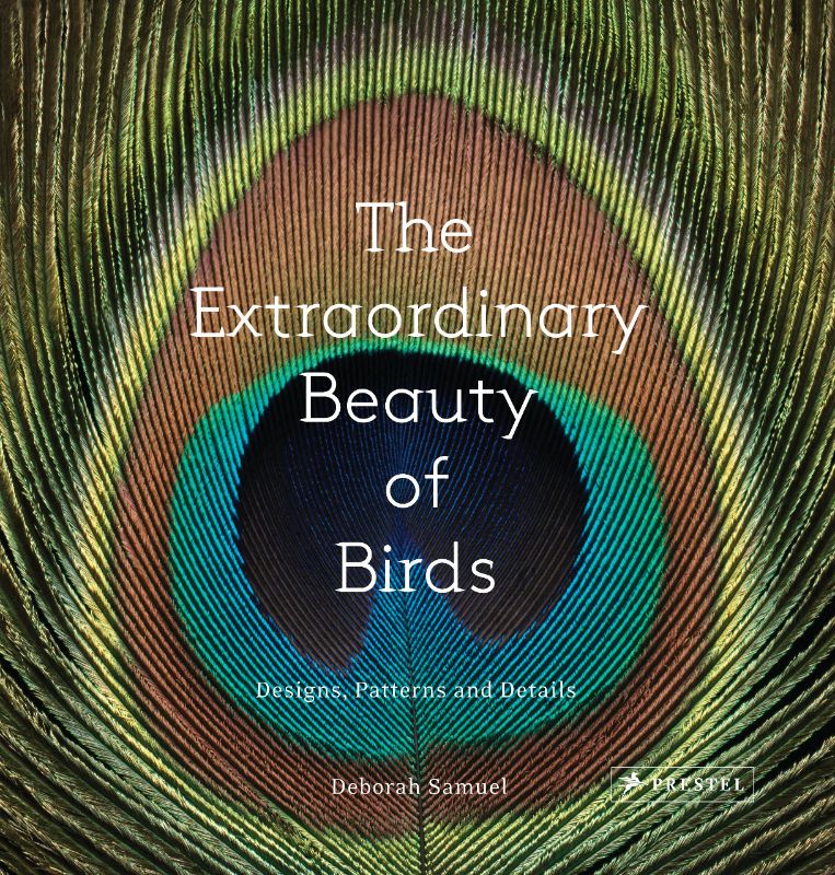 Stunning hardback book showcasing vibrant avian photography by Deborah Samuel, revealing intricate bird textures and colors.