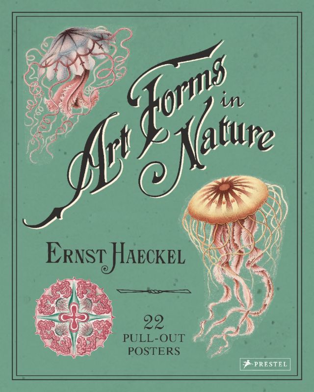 Ernst Haeckel Art Forms in Nature 22 Pull Out Posters