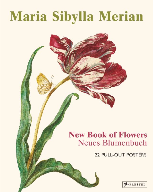 Pull-out poster collection featuring 22 vibrant, detailed botanical illustrations by Maria Sibylla Merian, perfect for art lovers.