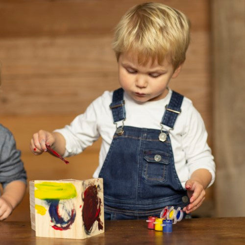 DIY birdhouse measuring 14x11x20cm, includes paint set for customization, designed for small birds like the Eurasian blue tit.