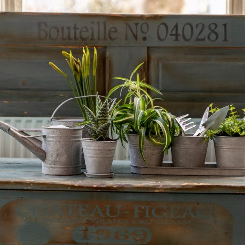 Set of 6 rustic old zinc flower pots, each 12cm, perfect for indoor and outdoor plants with drainage options.