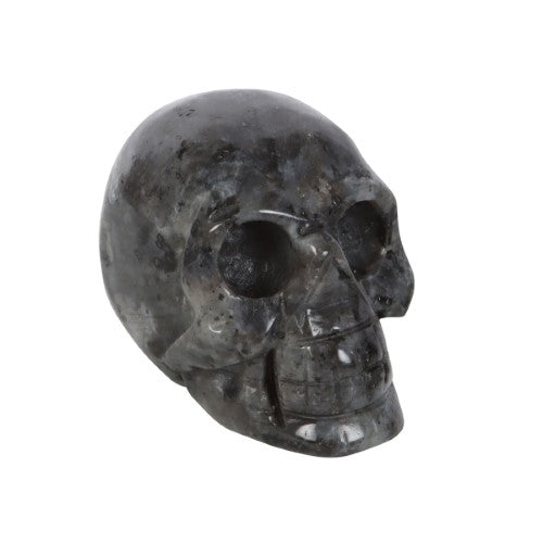 Black Labradorite Crystal Skull, H:4 x W:5 x D:2 cm, showcasing grounding energy and sleek design for meditation or decor.