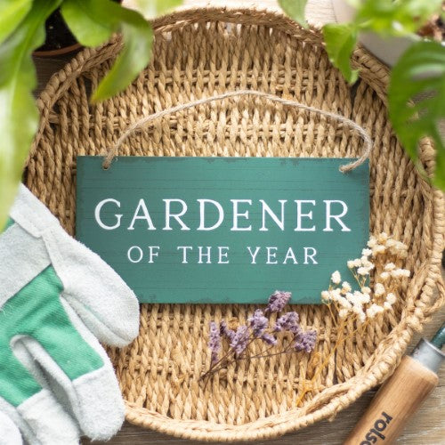 Whimsical garden sign with "I'm in the Garden Please Bring Gin" for fun outdoor decor and hosting gatherings.