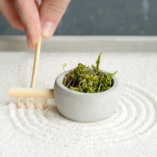 Compact 20x20cm Japanese Zen garden kit with tray, sand, stones, planter, and rake for meditation and relaxation.