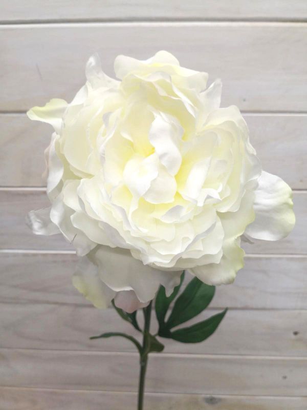 Lifelike artificial cream peony stem, ideal for home decor and floral arrangements, offering elegance without maintenance.