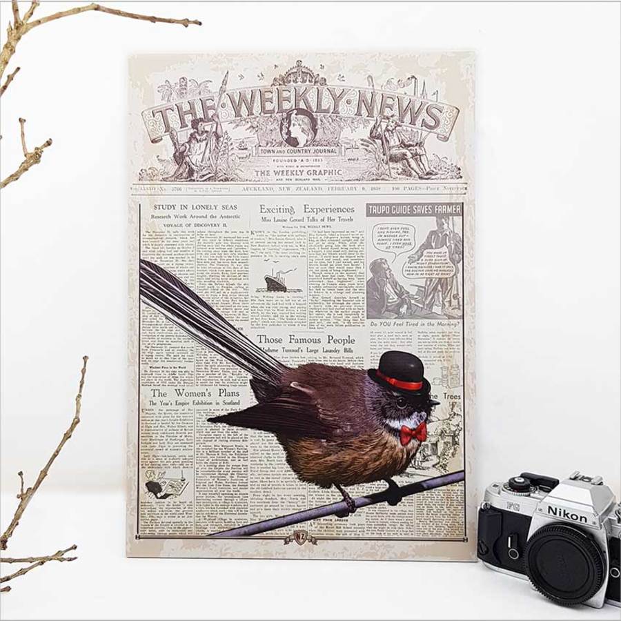 Vintage Kiwiana wall art featuring a fantail bird, printed on durable ACM for indoor/outdoor display, 288mm x 420mm.