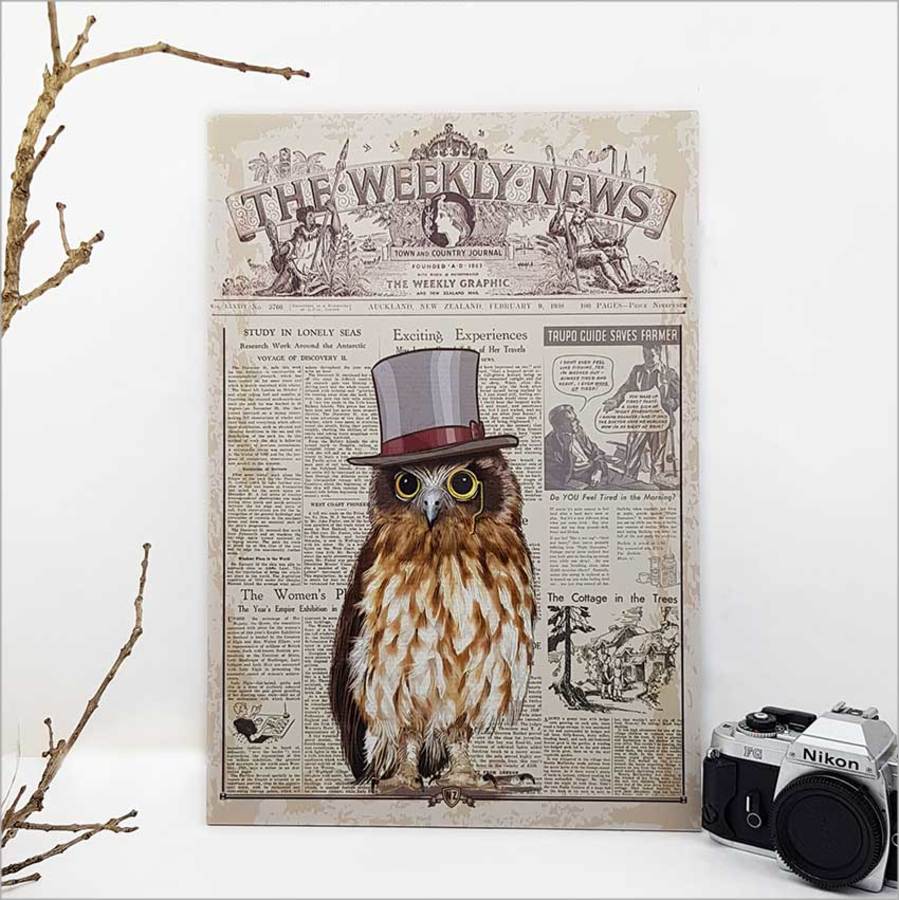 Kiwiana wall art featuring a vintage Ruru Morepork, crafted from durable ACM for vibrant and long-lasting decor.