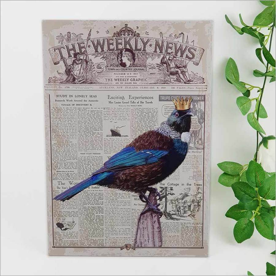 Kiwiana Wall Art featuring a Vintage Tui bird, printed on durable ACM, perfect for indoor or covered outdoor display.