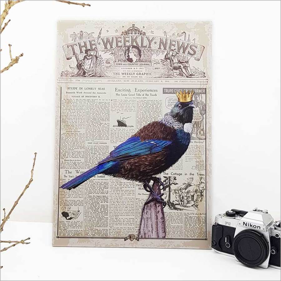 Vintage Tui wall art on durable aluminum composite, showcasing New Zealand's wildlife; ideal for any indoor or outdoor space.