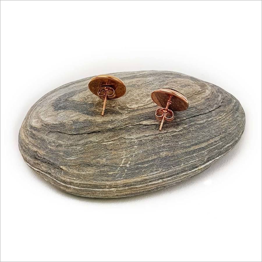 Elegant green paua studs set in rose gold, featuring 12mm diameter shells showcasing vibrant ocean hues.