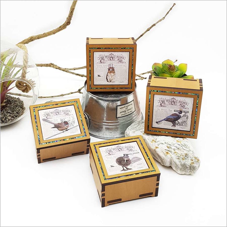 Vintage Tui trinket box made from NZ veneer, featuring a beautiful tui print, perfect for storing jewelry or keepsakes.