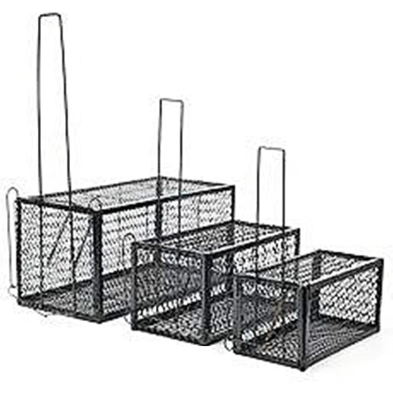 Humane mouse trap cages (set of 3) with durable design, measuring 11 x 11 x 24CM for effective rodent control.
