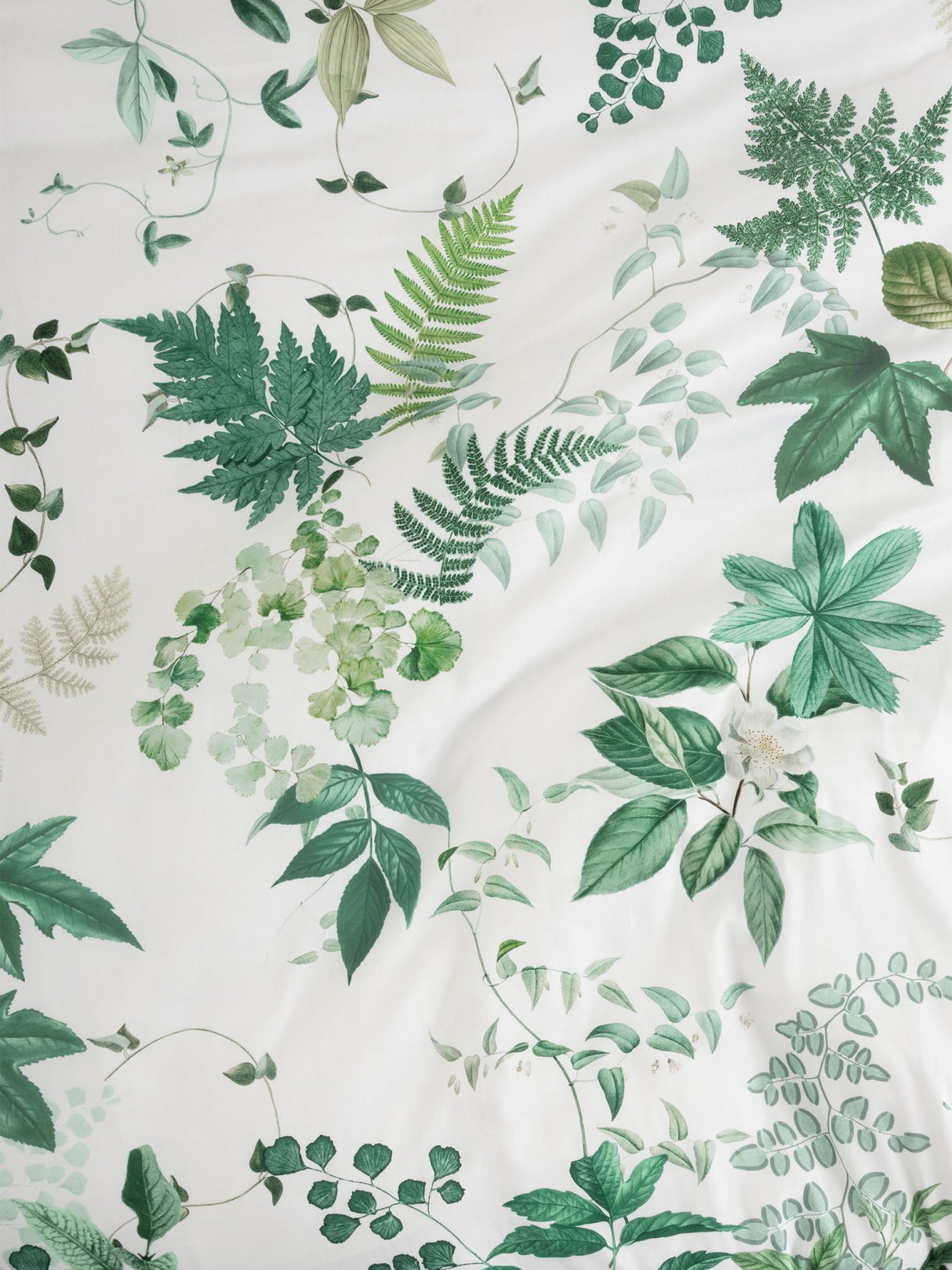 Elegant white King duvet cover set featuring lush greenery design on soft 100% cotton sateen, by Savona.